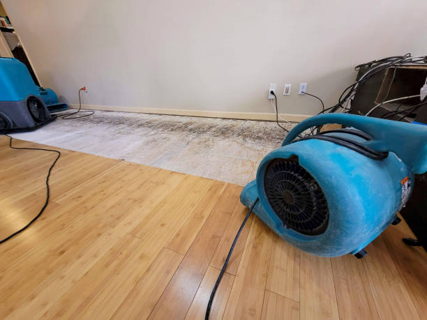 Professional Water Removal technician working in Bad Axe, MI